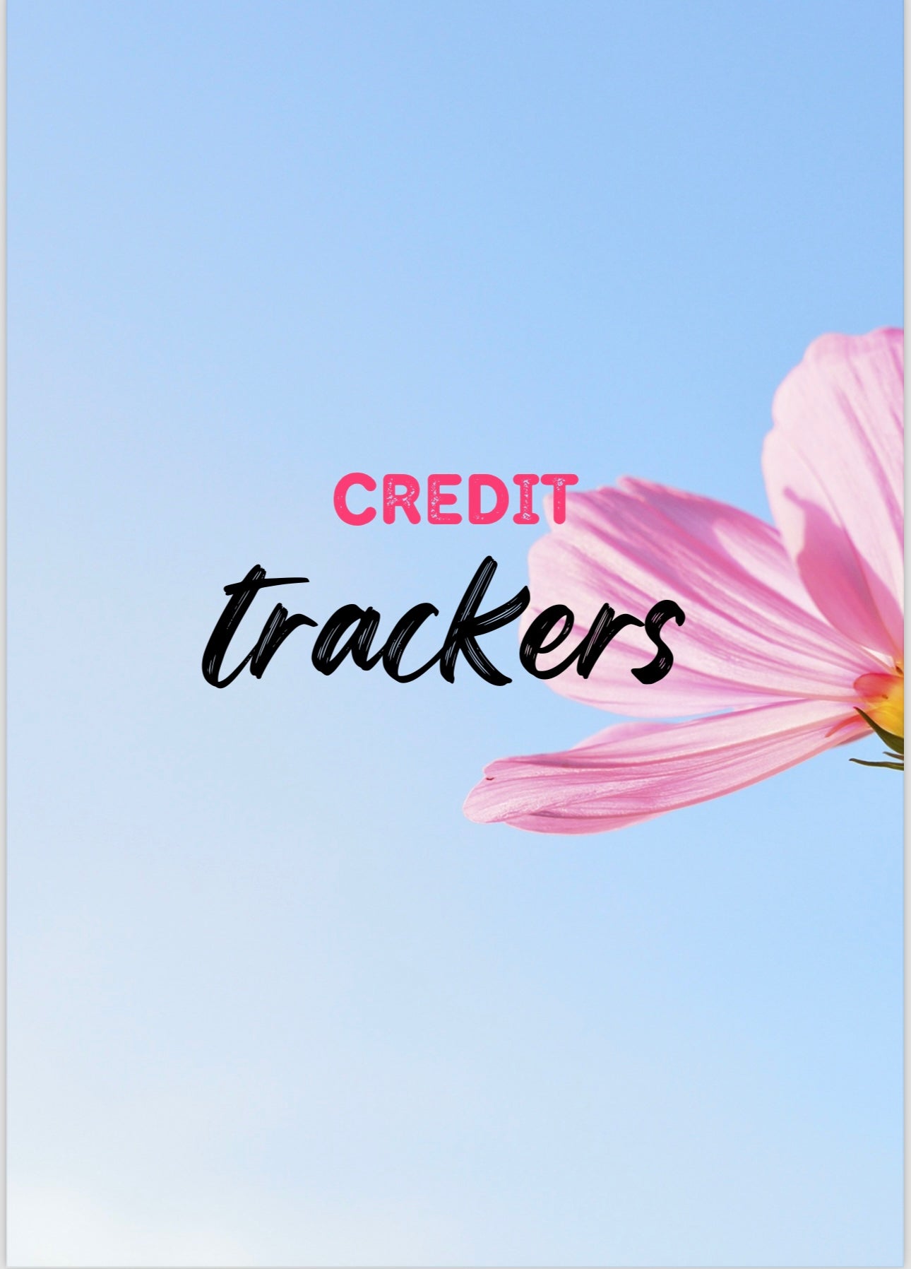 Road to Better Credit - Tracker